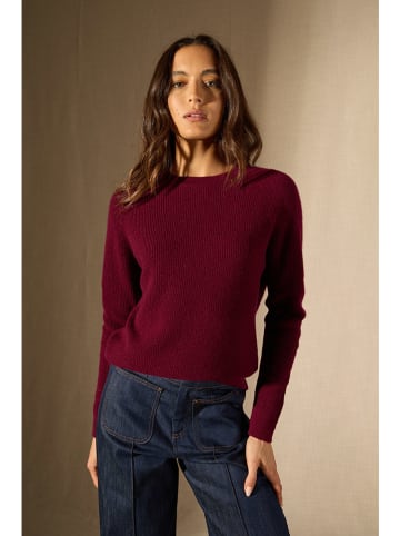 Perfect Cashmere Kaszmirowy sweter "Souna" w kolorze bordowym