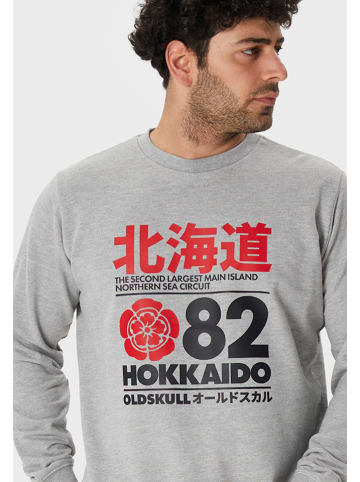 OLDSKULL Bluza w kolorze szarym