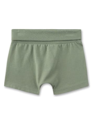 Sanetta Kidswear Szorty w kolorze khaki