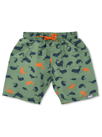 Sterntaler Badeshorts "Wal" in Grün
