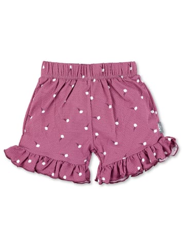 Sterntaler Badeshorts in Lila