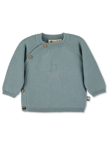 Sterntaler Pullover in Blau