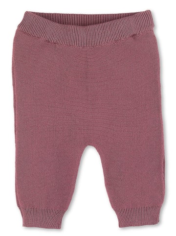 Sterntaler Strickhose in Lila
