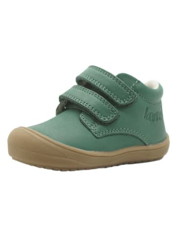 lamino Leder-Sneakers in Grün