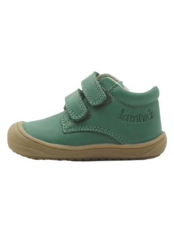 lamino Skórzane sneakersy w kolorze zielonym