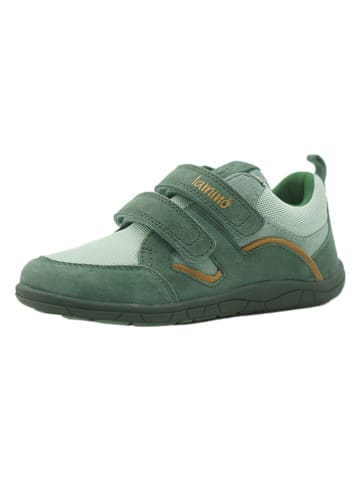 lamino Leder-Barfußschuhe in Grün