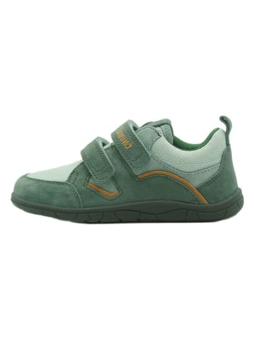 lamino Leder-Barfußschuhe in Grün
