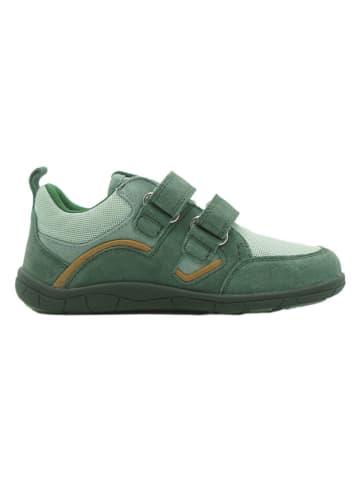 lamino Leder-Barfußschuhe in Grün