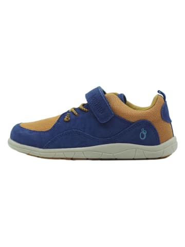 lamino Leder-Barfußschuhe in Dunkelblau/ Gelb
