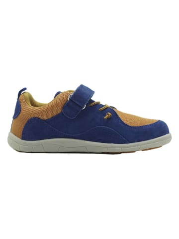 lamino Leder-Barfußschuhe in Dunkelblau/ Gelb