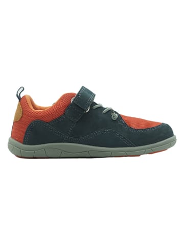 lamino Leder-Barfußschuhe in Dunkelblau