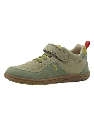 lamino Leder-Barfußschuhe in Grün