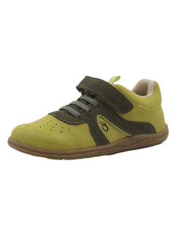 lamino Leder-Barfußschuhe in Grün