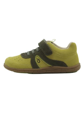 lamino Leder-Barfußschuhe in Grün