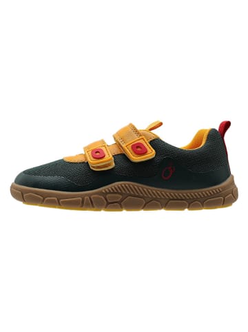 lamino Barfußschuhe in Grün
