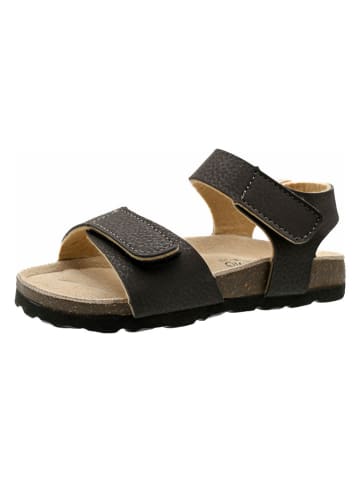 lamino Sandalen bruin