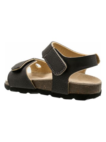 lamino Sandalen bruin