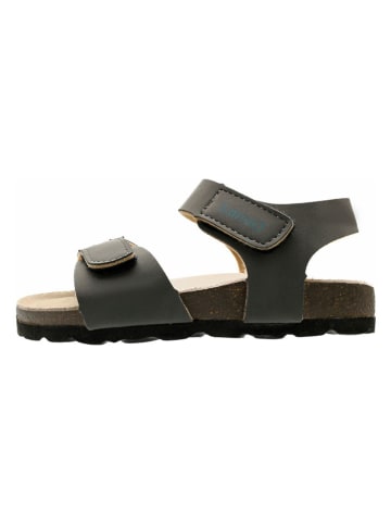 lamino Sandalen grijs