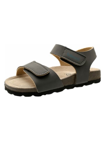 lamino Sandalen in Grau