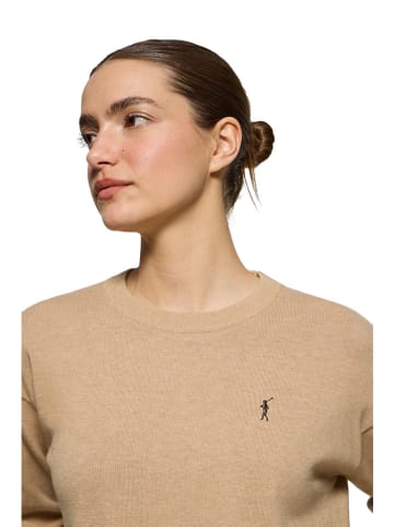 Polo Club Pullover in Beige