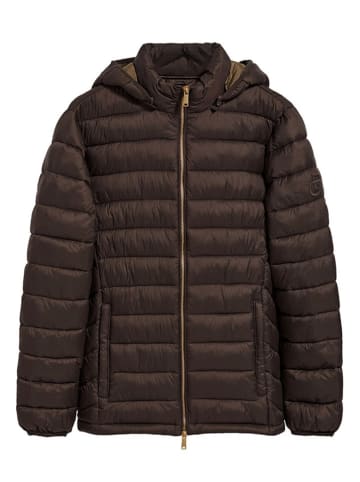 Polo Club Steppjacke in Dunkelbraun