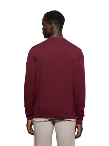 Polo Club Pullover in Rot