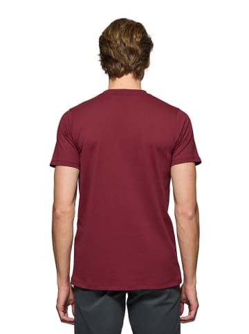 Polo Club Shirt roze/rood