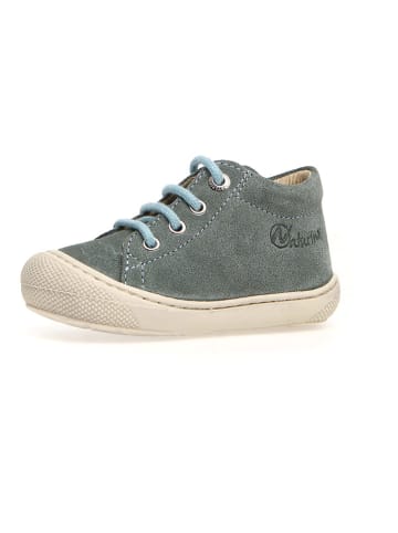 Naturino Leder-Lauflernschuhe "Cocoon" in Salbei