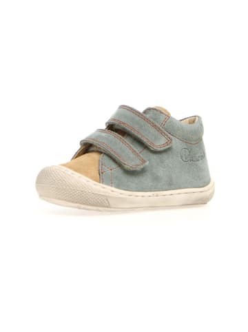 Naturino Leder-Lauflernschuhe "Cocoon" in Grau