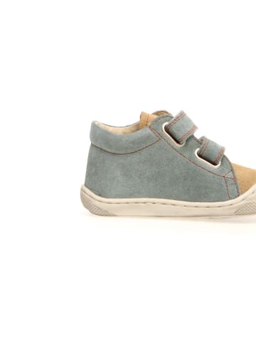 Naturino Leder-Lauflernschuhe "Cocoon" in Mint