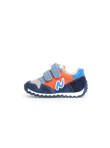 Naturino Leder-Sneakers "Sammy 2" in Dunkelblau/ Orange