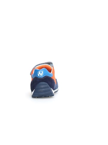 Naturino Leren sneakers "Sammy 2" donkerblauw/oranje