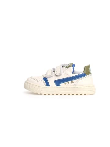 Naturino Leder-Sneakers "Ceonia" in Creme