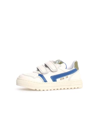Naturino Leder-Sneakers "Ceonia" in Creme