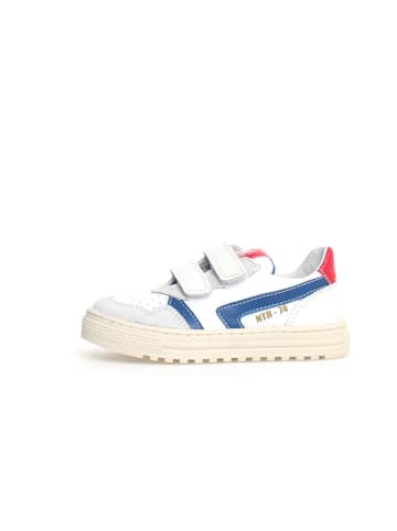 Naturino Leder-Sneakers "Ceonia" in Weiß/ Blau