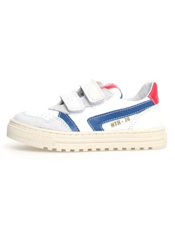 Naturino Leren sneakers "Ceonia" wit/blauw