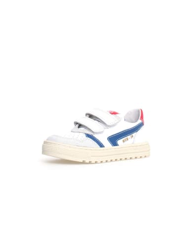 Naturino Leder-Sneakers "Ceonia" in Weiß/ Blau