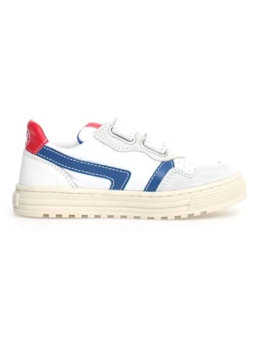 Naturino Leren sneakers "Ceonia" wit/blauw