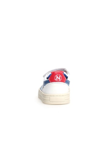 Naturino Leder-Sneakers "Ceonia" in Weiß/ Blau