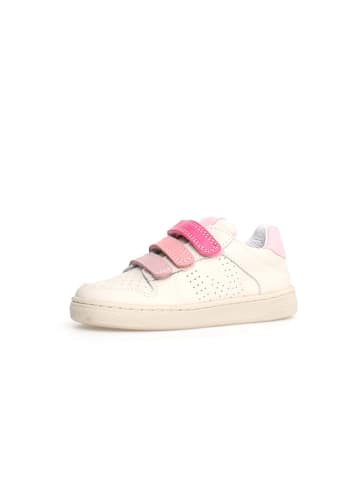 Naturino Leder-Sneakers "Theral" in Creme/ Pink