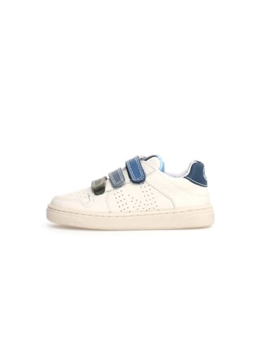 Naturino Leder-Sneakers "Theral" in Creme/ Blau