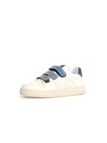 Naturino Leder-Sneakers "Theral" in Creme/ Blau