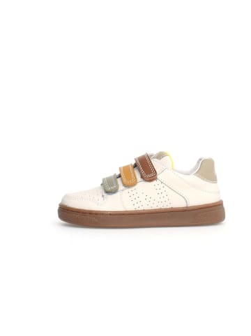 Naturino Leder-Sneakers "Theral" in Creme/ Bunt