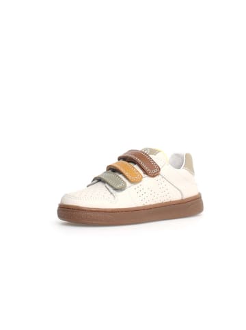 Naturino Leder-Sneakers "Theral" in Creme/ Bunt
