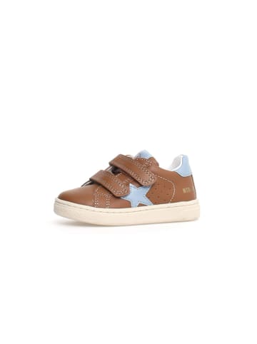 Naturino Leder-Sneakers "Pinn" in Braun/ Blau