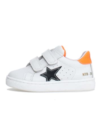Naturino Leren sneakers "Pinn" wit/meerkleurig
