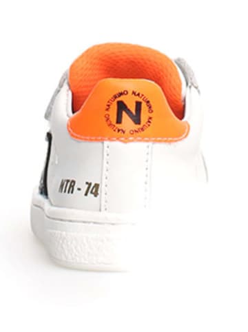 Naturino Leren sneakers "Pinn" wit/meerkleurig
