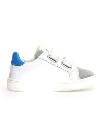 Naturino Leren sneakers "Pinn" wit/meerkleurig