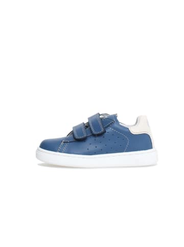 Naturino Leder-Sneakers "Hasselt 2" in Dunkelblau