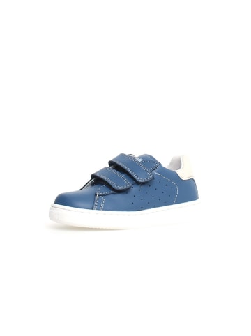 Naturino Leder-Sneakers "Hasselt 2" in Dunkelblau